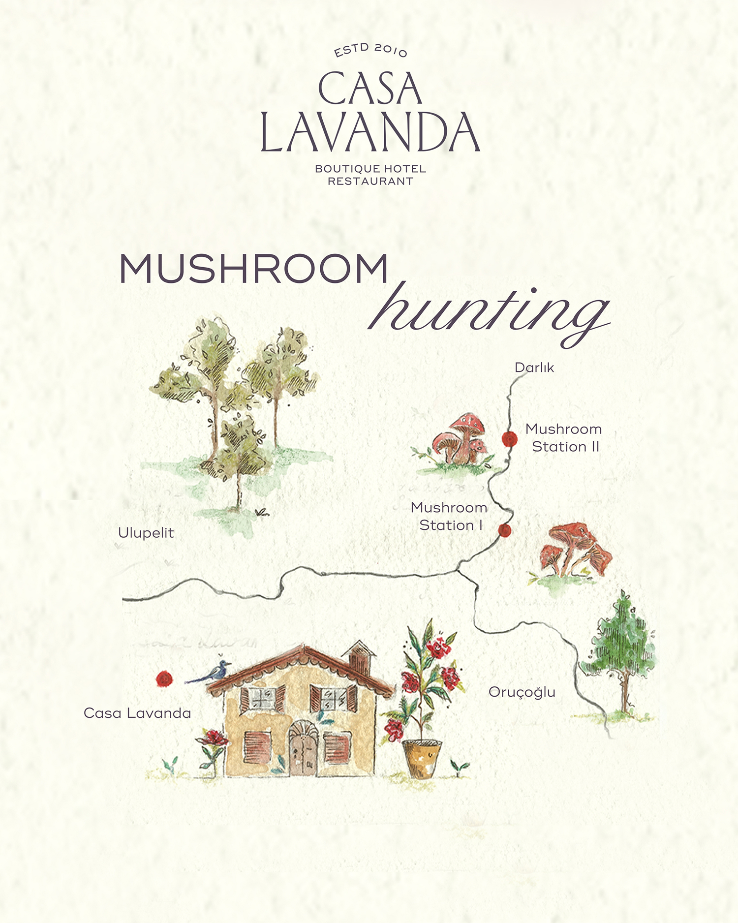 Mushroom Hunting 01.11